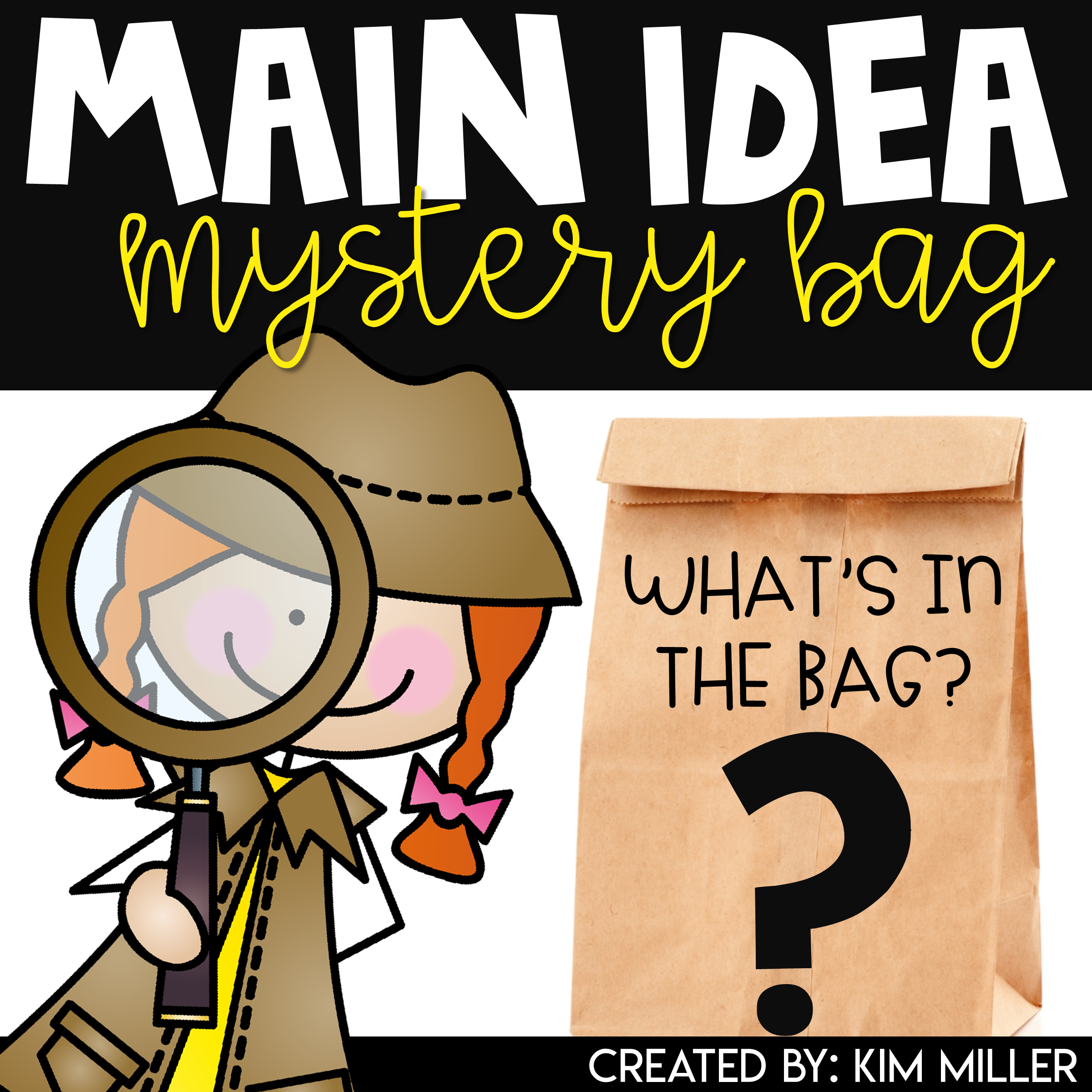 Main Idea Mystery Bags