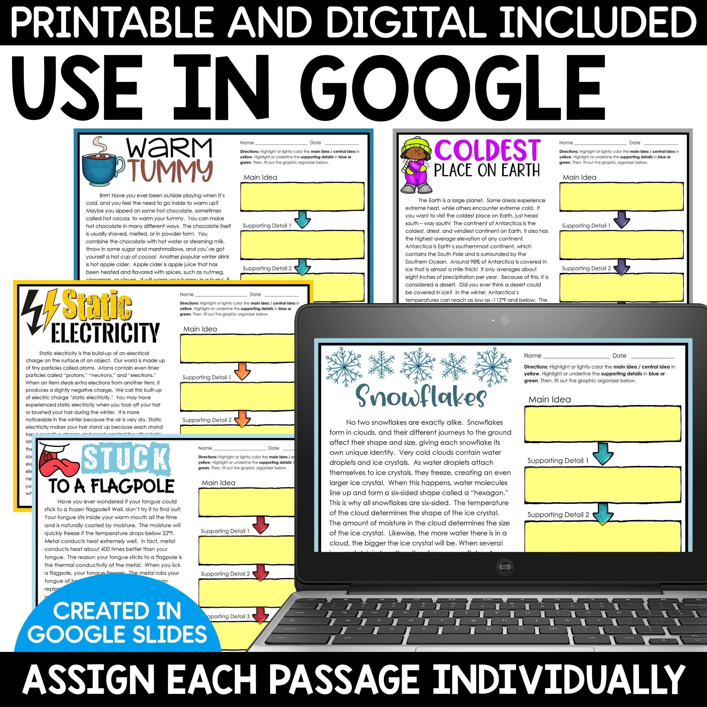 Winter Main Idea and Supporting Details Reading Passages Graphic Organizers - Image 6
