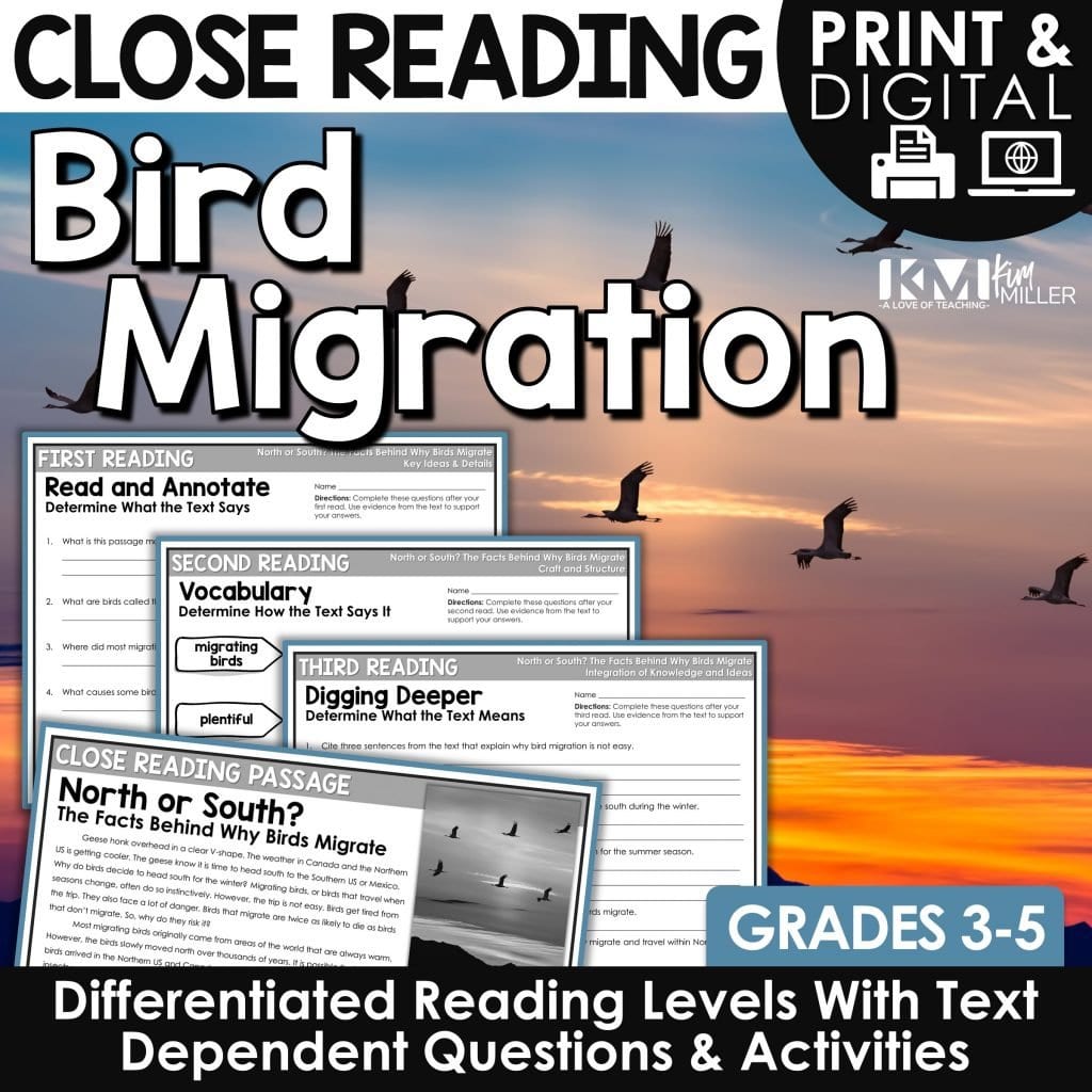 Bird Migration Close Reading