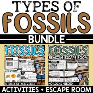 Types of Fossils Activities Worksheets Reading Comprehension Escape Room BUNDLE